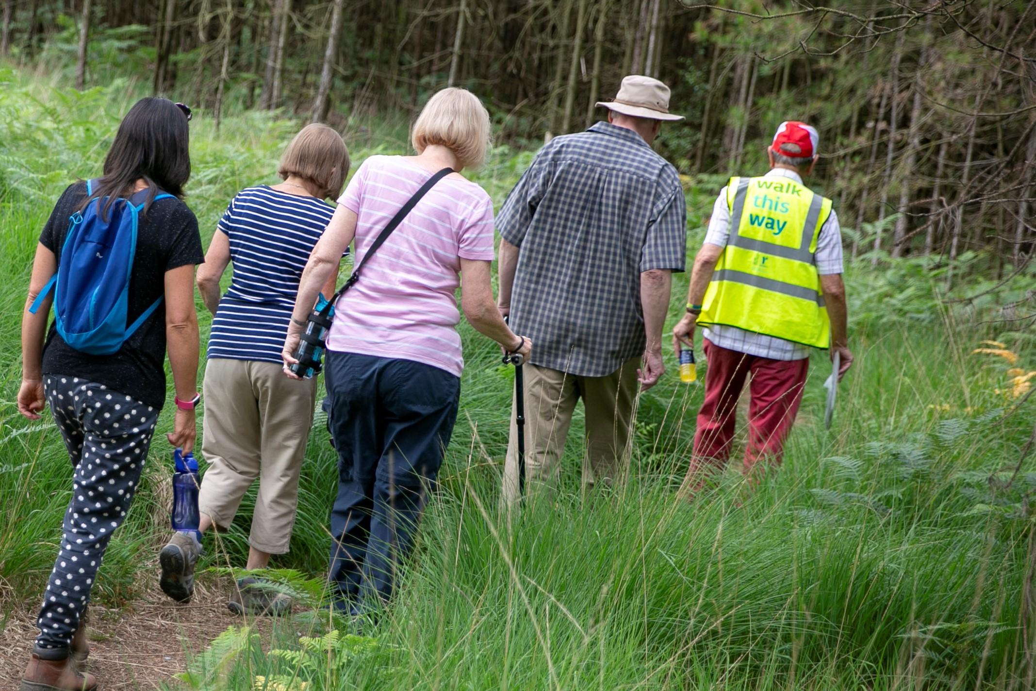 People walking through grassy clearing in woodland