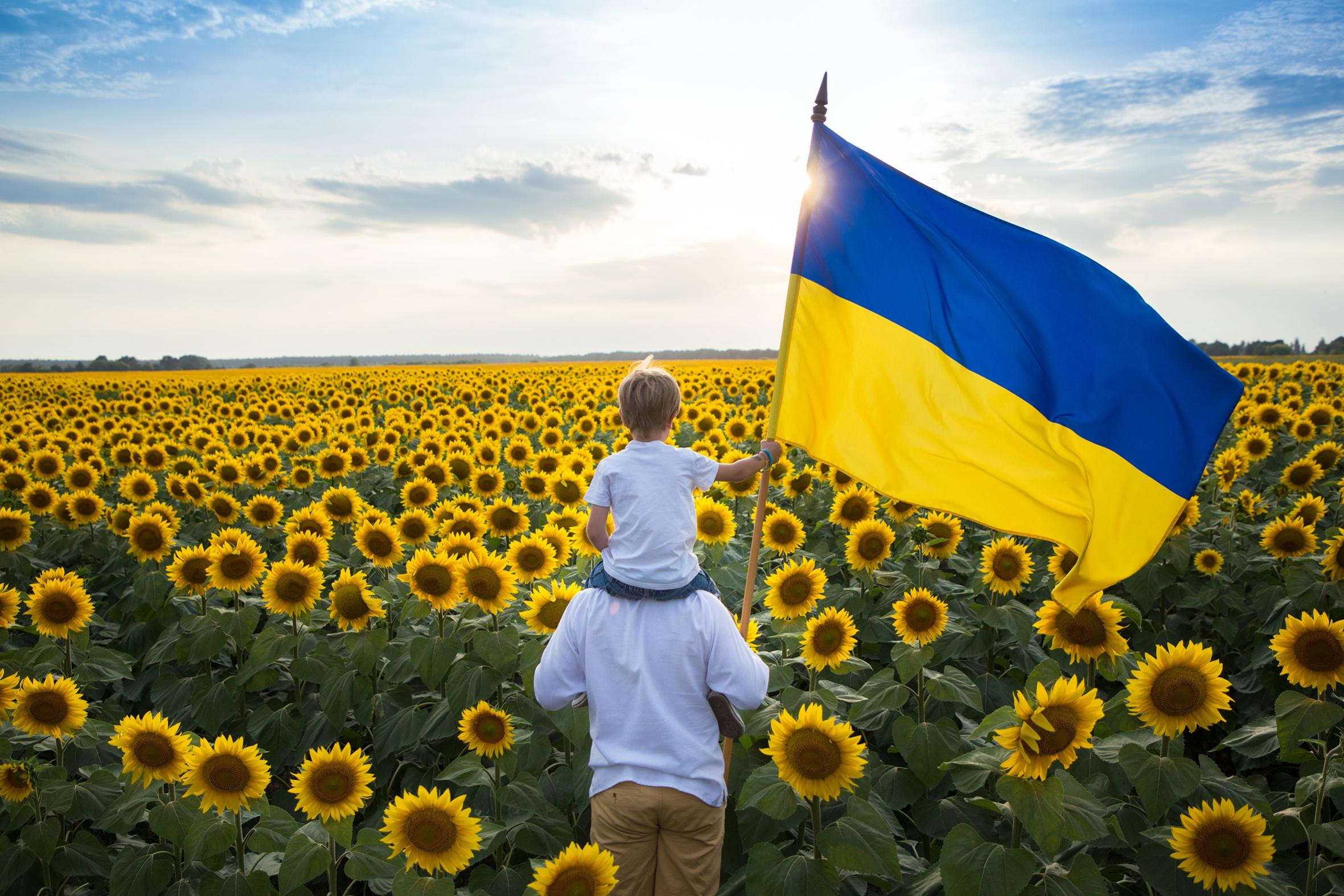 Father and son in sunflower field