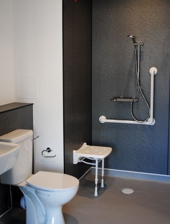 A bathroom with a toilet, a shower, a seat and some handrails