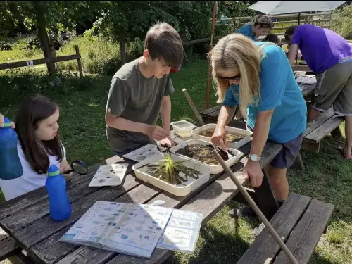 Children outdoor activities.