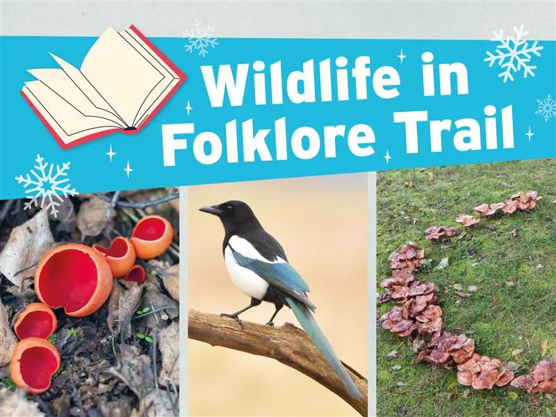 Poster for the wildlife in folklore trail