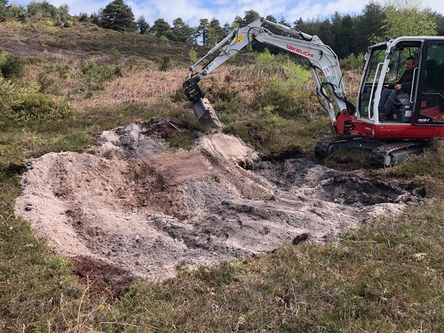 digging up a sandy heath