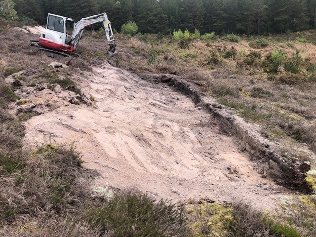 digging up a sandy heath