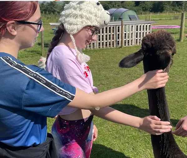 children with an alpaca