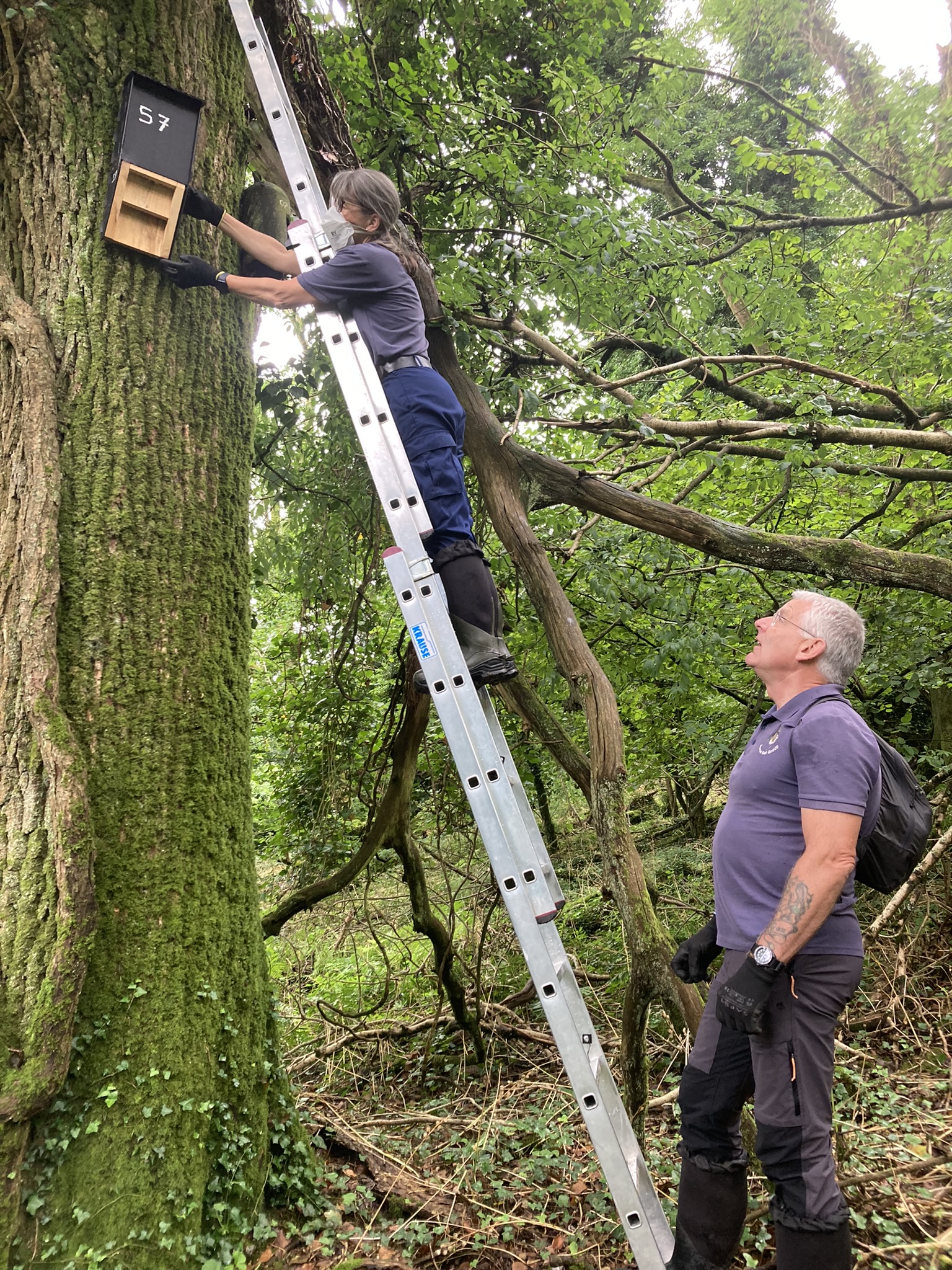 checking a bird box