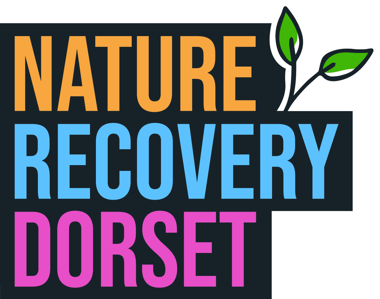 Nature Recovery Dorset in orange, blue and pink text on a black background with a seedling in the top right corner