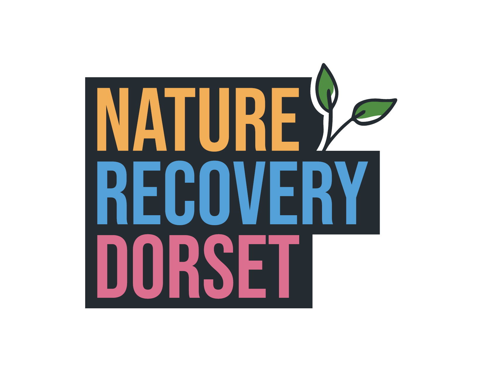 dark grey Nature Recovery Dorset logo