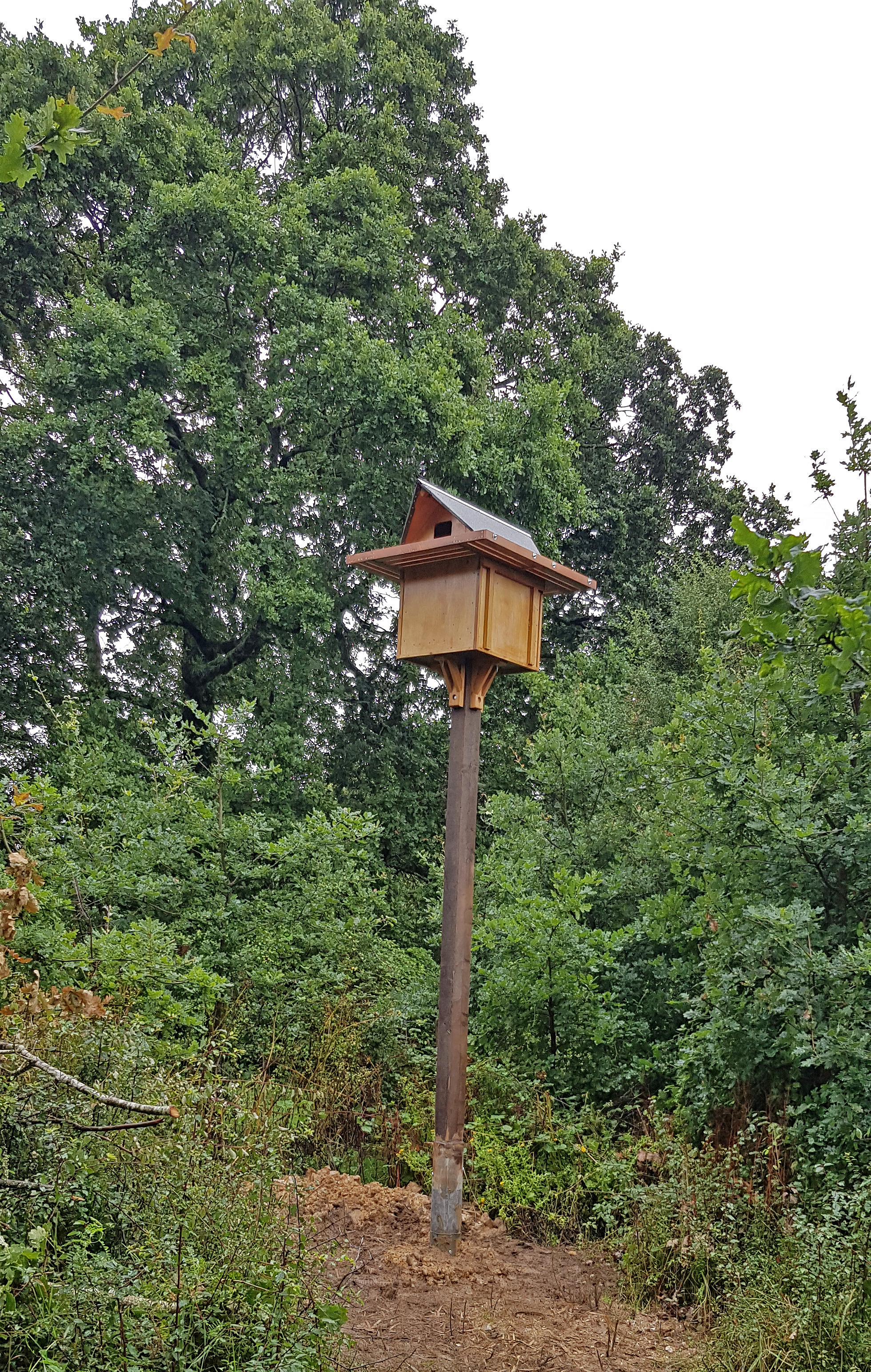 bird box on stilts