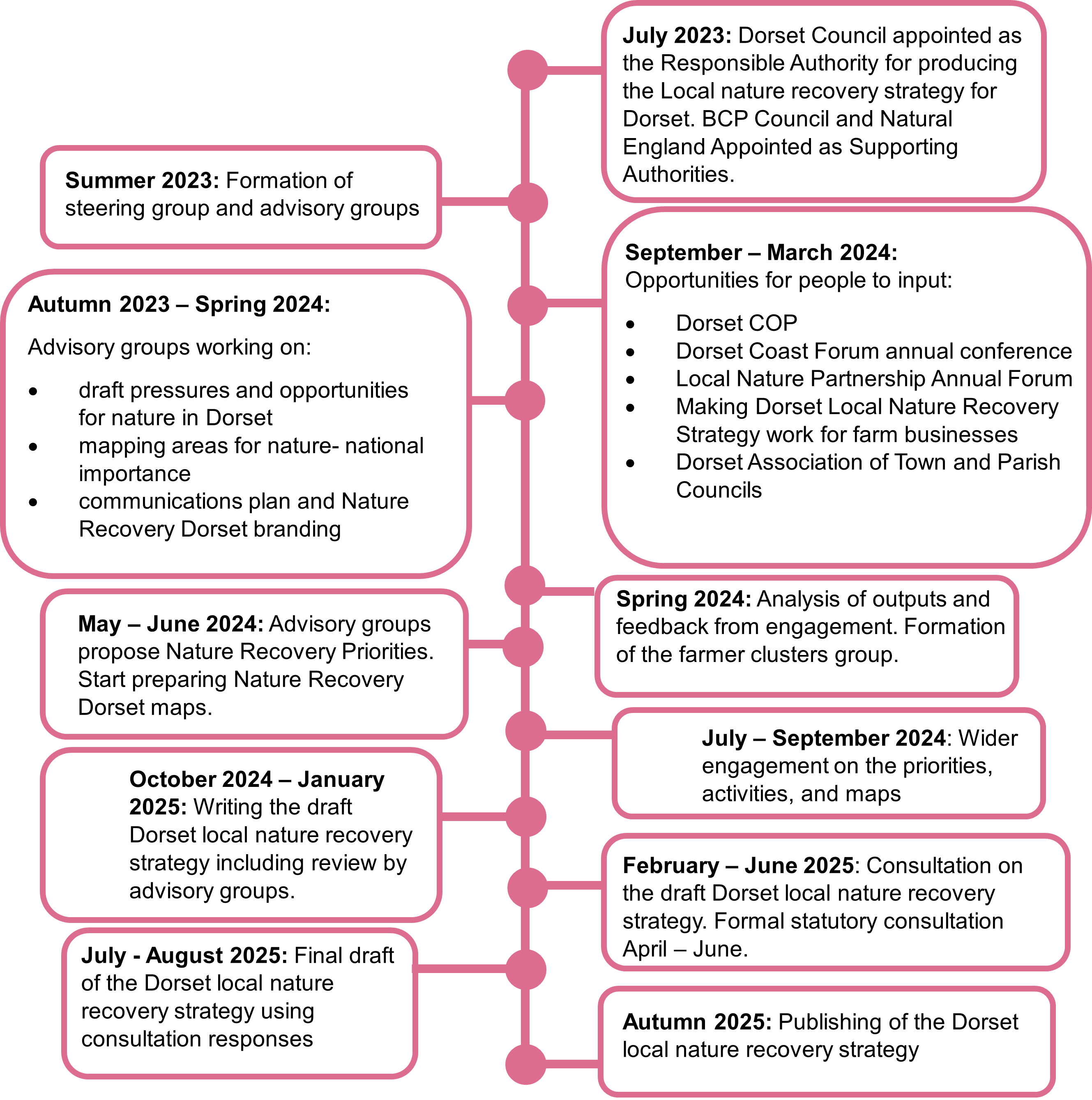 Timeline for preparing the Dorset local nature recovery strategy