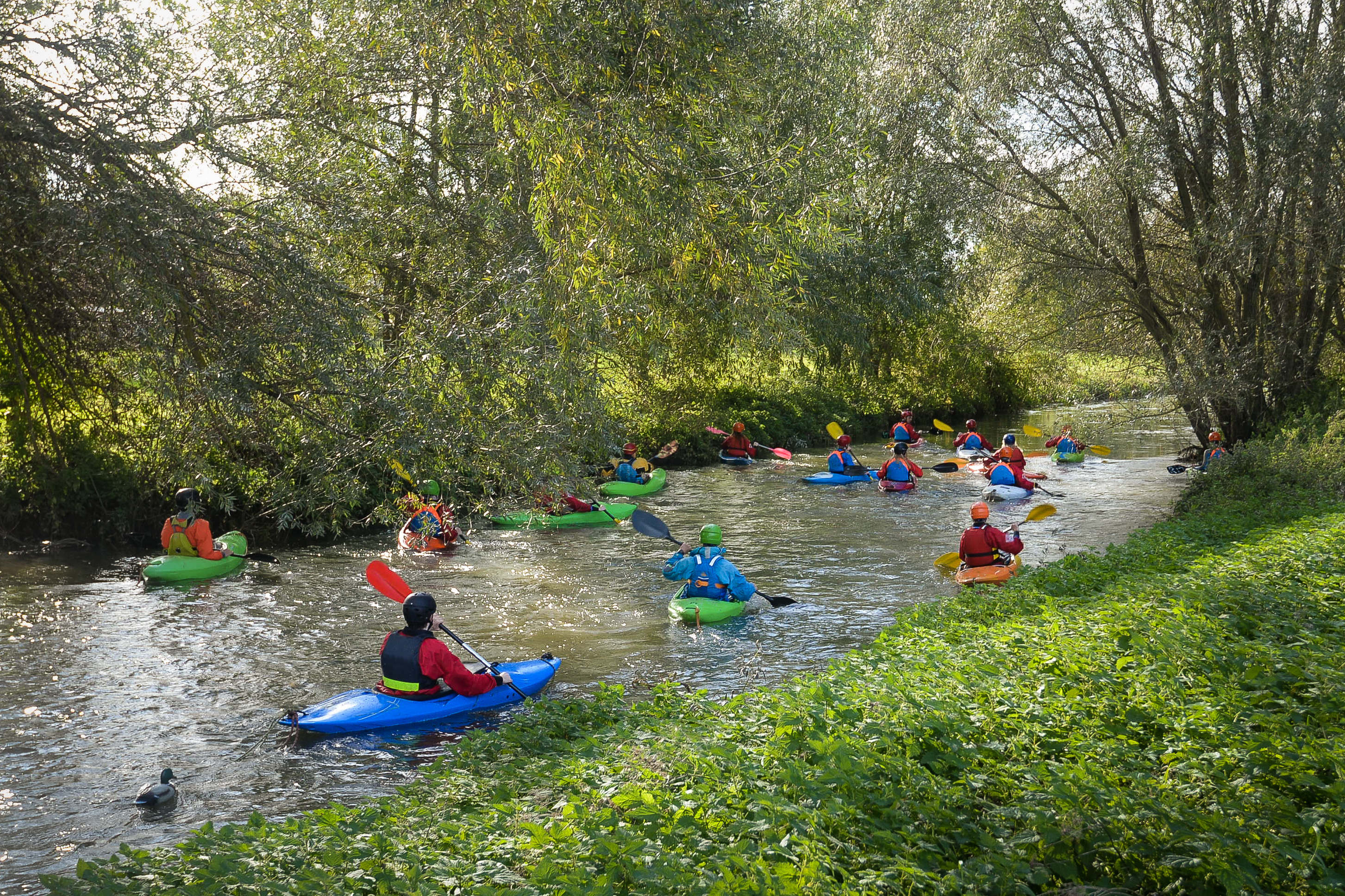 Image of water activities