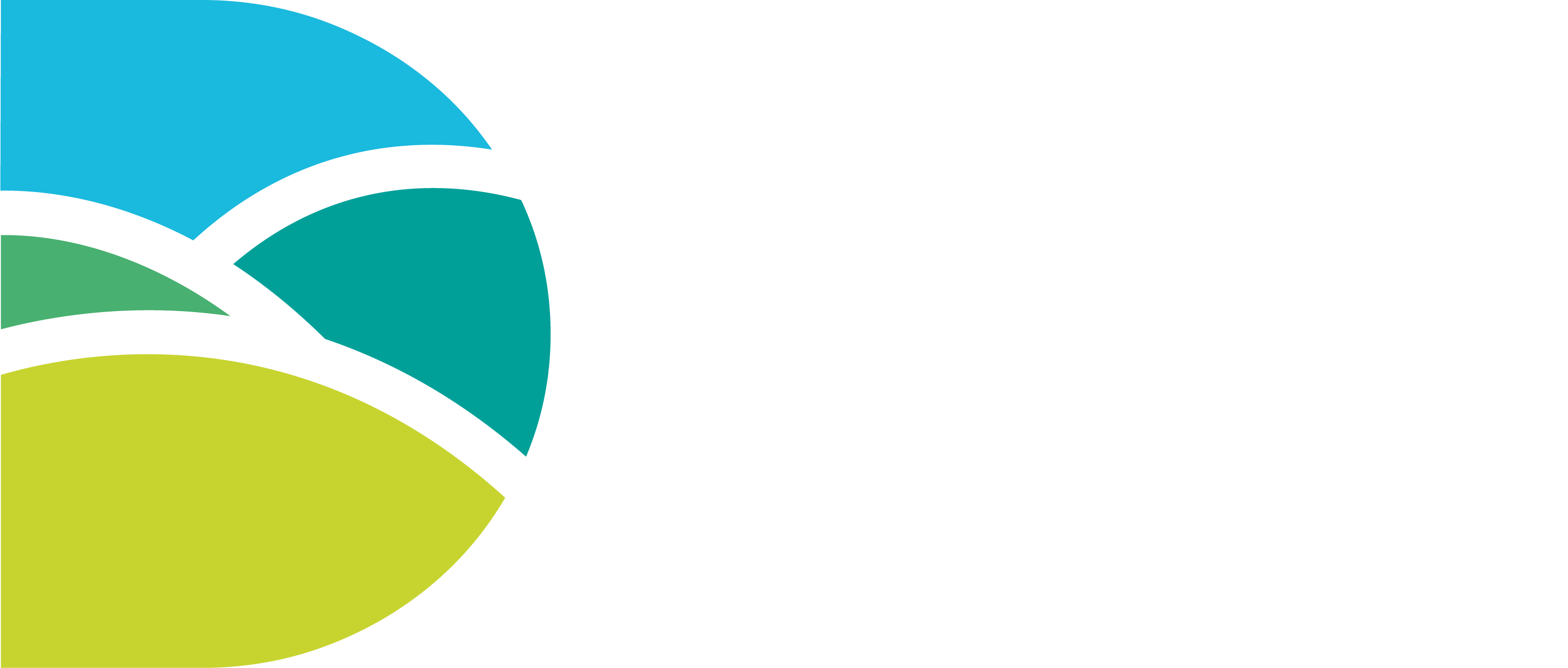 dorsetcouncil logo