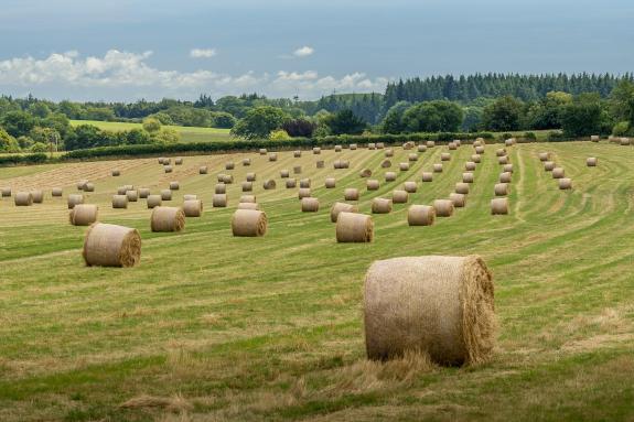 Final round of UK Rural England Prosperity Fund announced